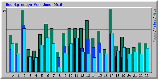 Hourly usage for June 2016